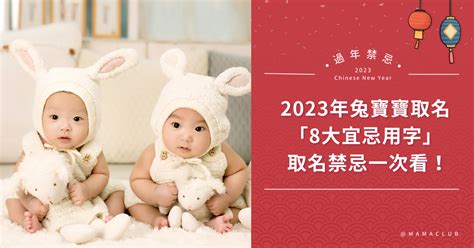 2023兔年寶寶|2023兔年嬰兒取名 (附上姓名學筆畫所有的字)